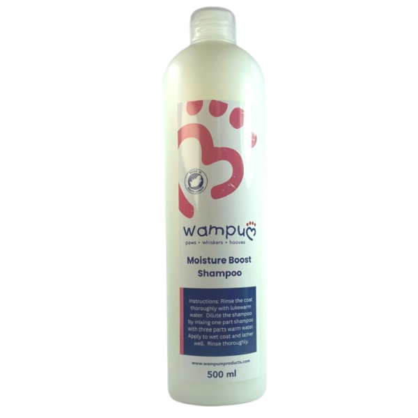 Moisture Boost Shampoo 500ml